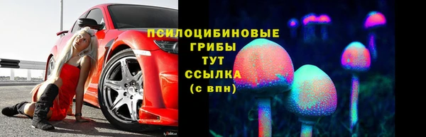 гидра Покров