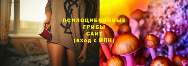 кристаллы Покачи