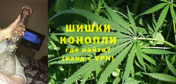 гидра Покров