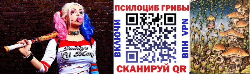 даркнет сайт  Байкальск  Псилоцибиновые грибы мухоморы 